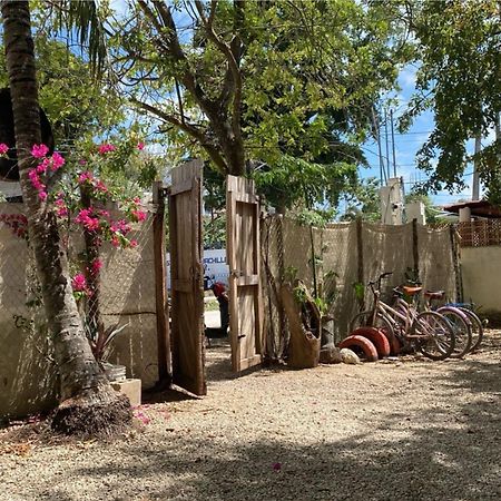 Hotel Selva Bacalar - Free Bike Rental المظهر الخارجي الصورة