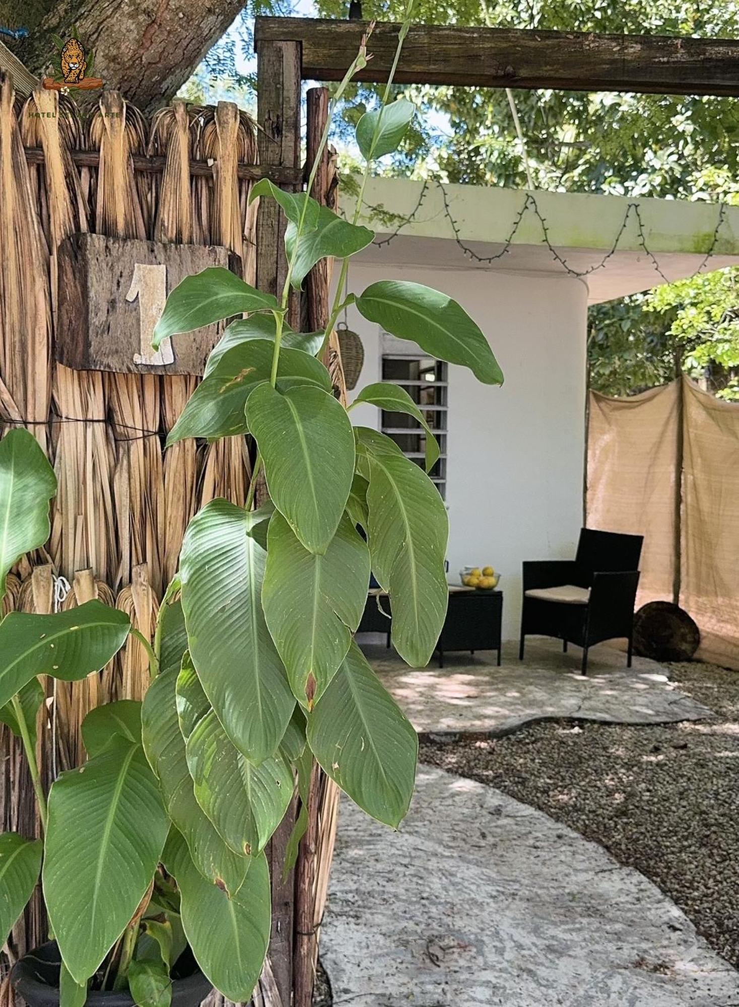 Hotel Selva Bacalar - Free Bike Rental المظهر الخارجي الصورة