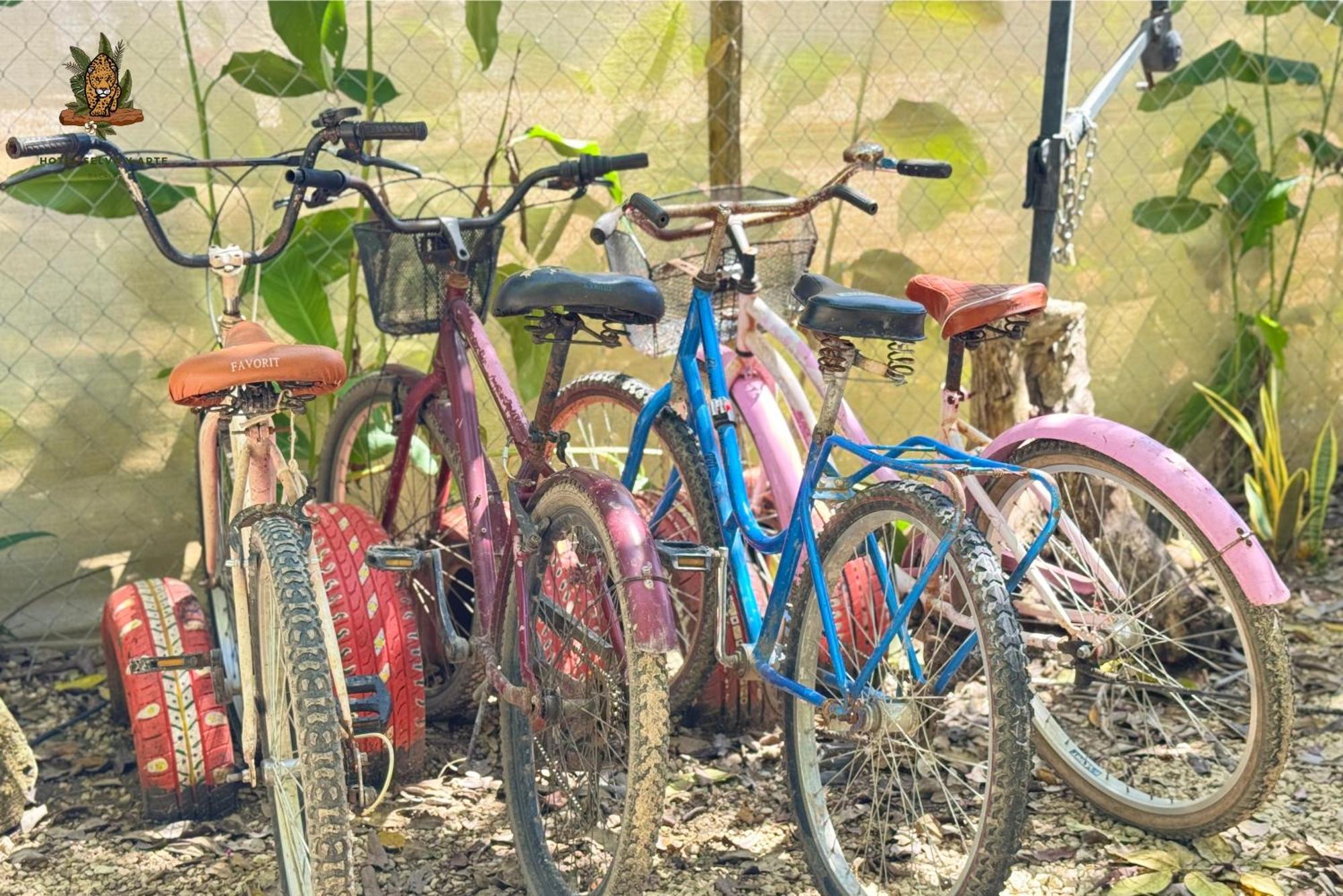 Hotel Selva Bacalar - Free Bike Rental المظهر الخارجي الصورة