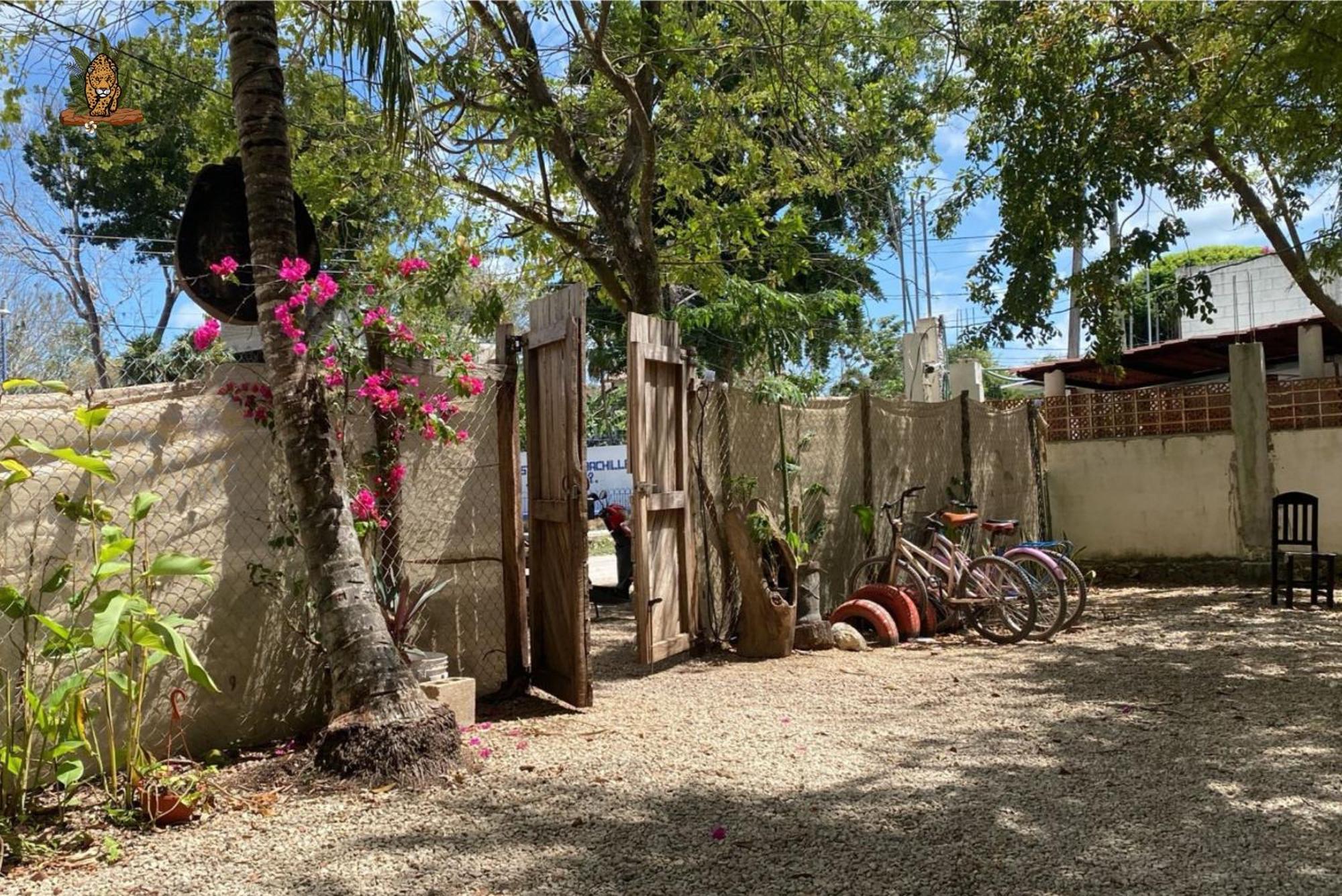 Hotel Selva Bacalar - Free Bike Rental المظهر الخارجي الصورة